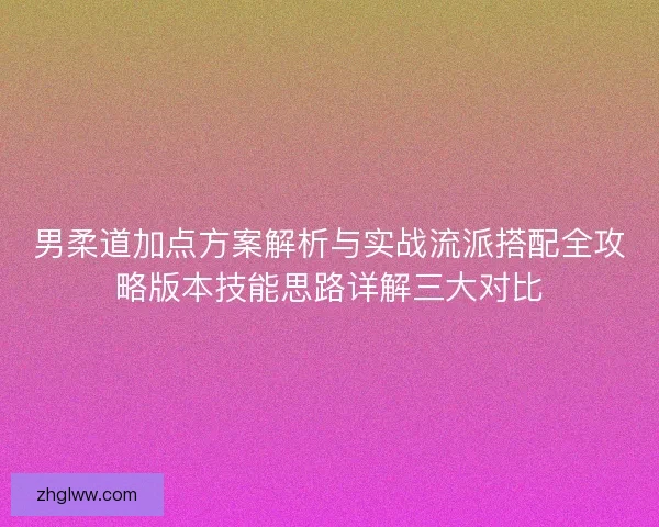 男柔道加点方案解析与实战流派搭配全攻略版本技能思路详解三大对比